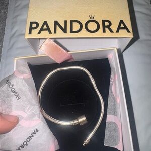 Pandora Silver Charm Bracelet Moments Silver chain